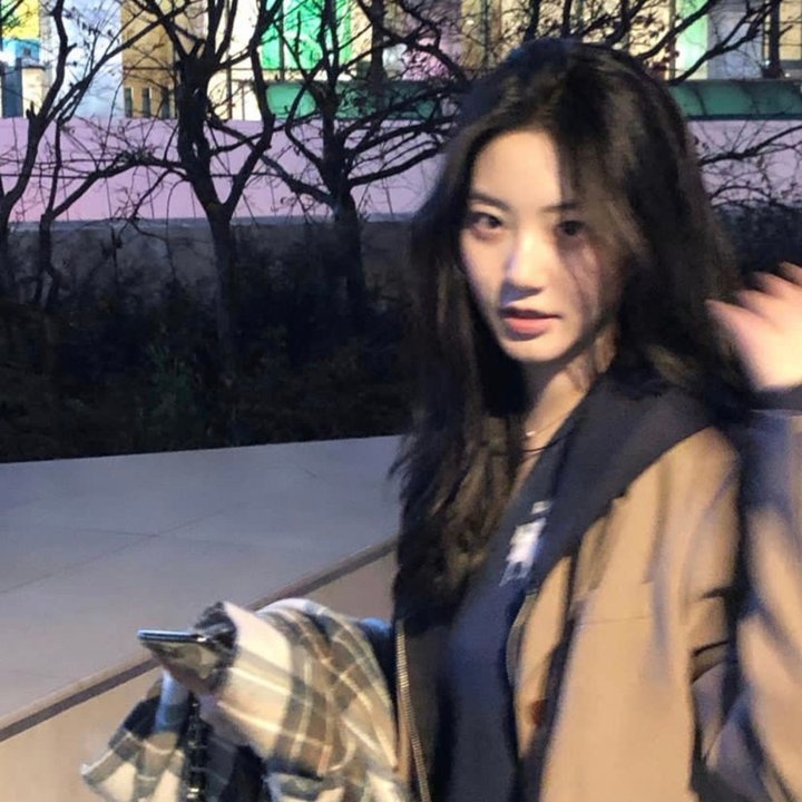 消失的收藏家